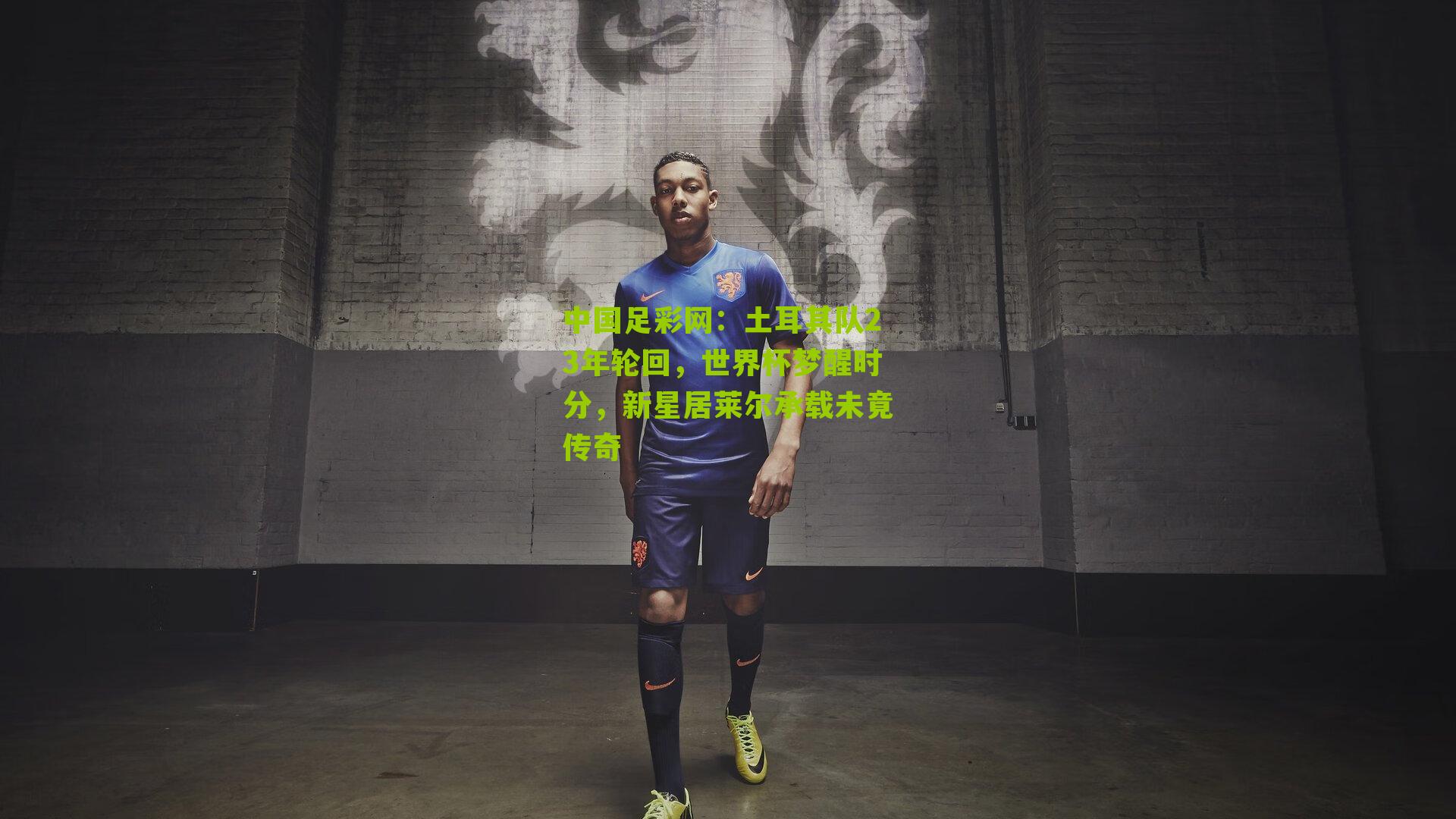 土耳其队23年轮回,世界杯梦醒时分,新星居莱尔承载未竟传奇